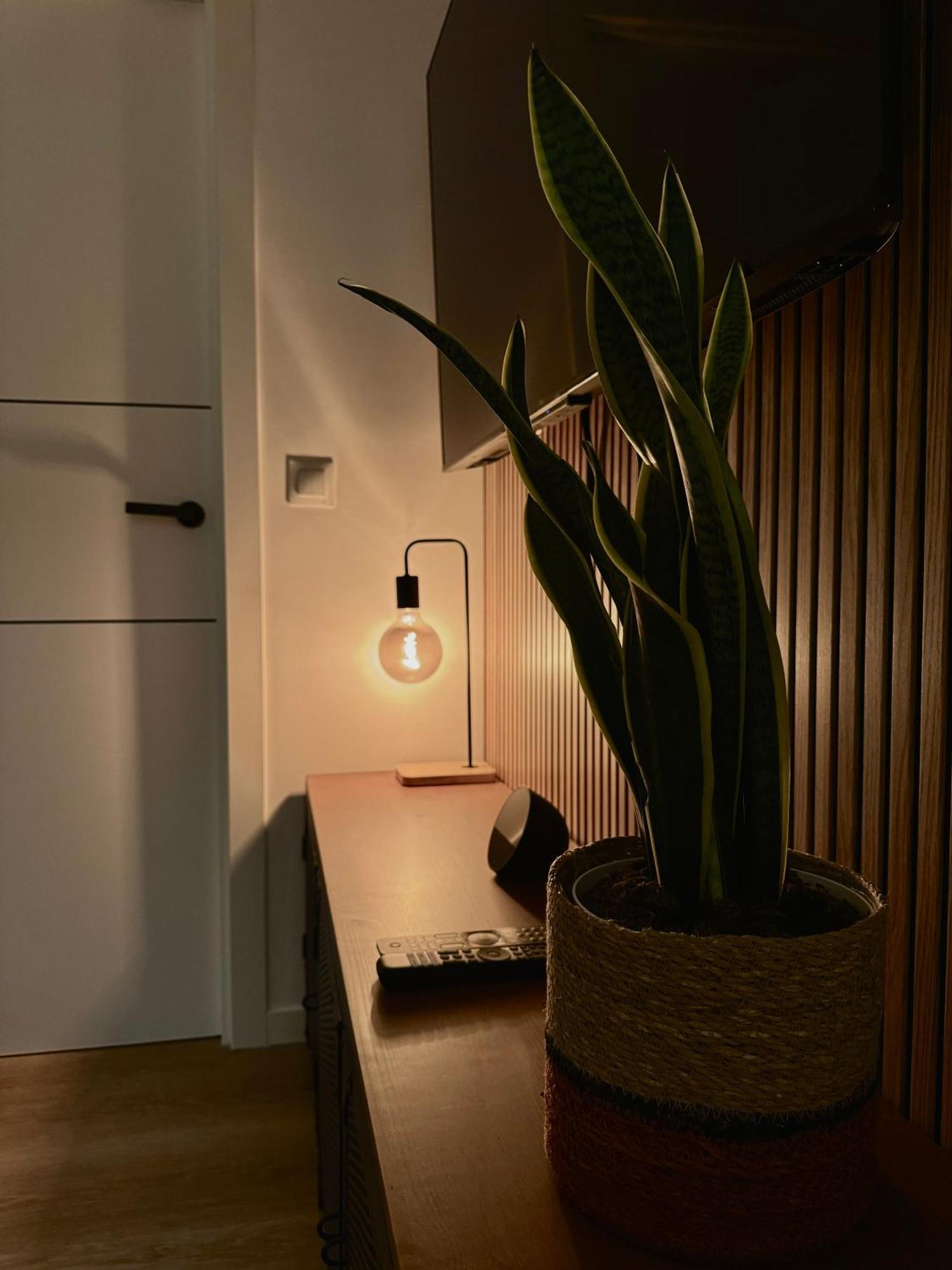 Kilometro 22 Luxury Apartment Padrón Екстериор снимка